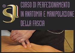 Master in perfezionamento in anatomia e manipolazione della fascia